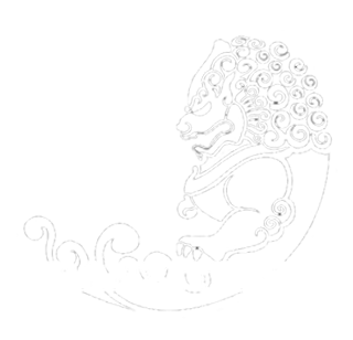Tranzitplus